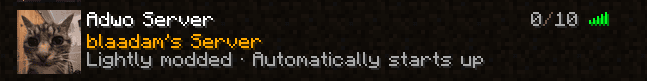 Custom Server Example